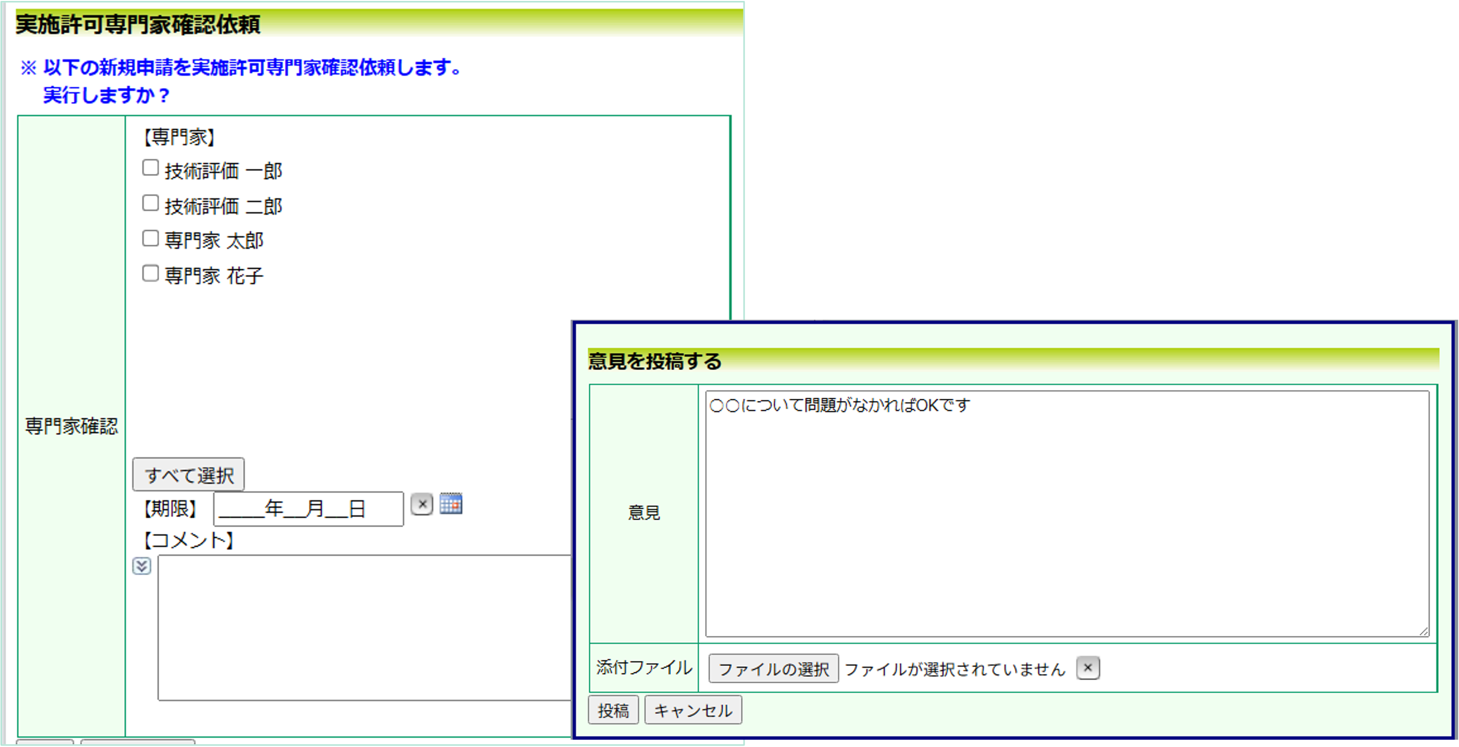 専門家の確認フロー、実施許可審査フロー